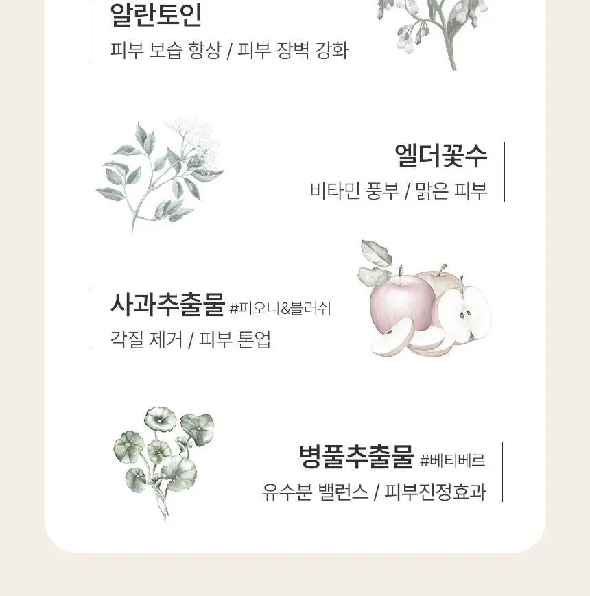[핸드 에이징 케어] 아로셀 인텐시브 핸드크림 50ml 2종 택 1 상세페이지 19